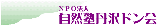 �ǂ��S